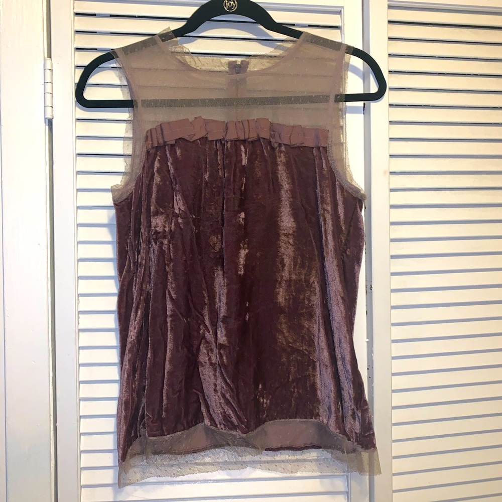 Ann Taylor Loft Velvet & Tulle Top